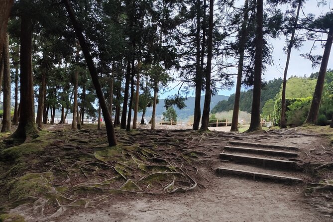 Private Half-Day Tour in Furnas São Miguel Island - Free Cancellation Policy