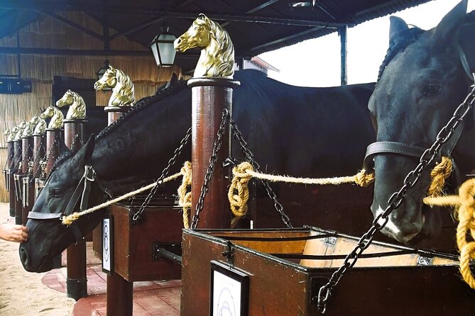 Private Half Day Tour in Lusitanian Horses and Photography Museum - Booking Information