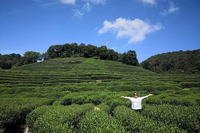 Private Hangzhou Day Tour From Shanghai - Reservation Options