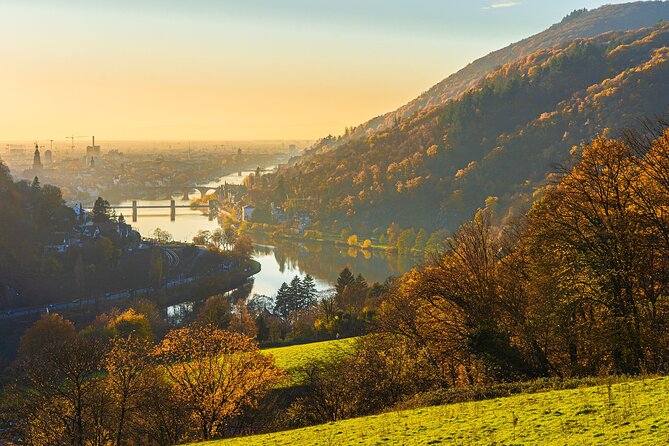 Private Heidelberg Old Town Walking Tour - Timing and Availability