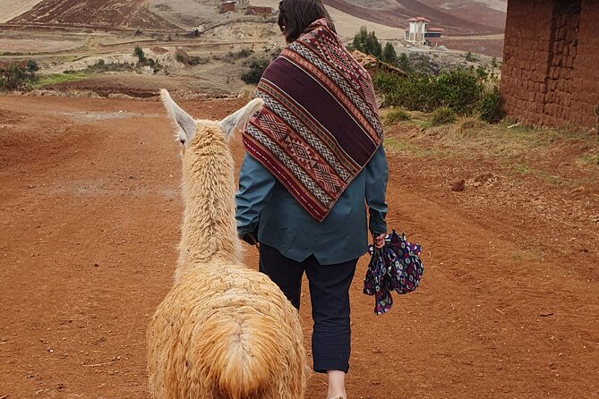 Private Hike With Llamas in the Andes of the Sacred Valley - Directions