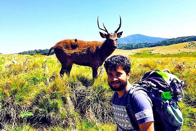 Private Hiking Tour to Kirigalpoththa Mountain via Horton Plains - Meeting and Pickup Details