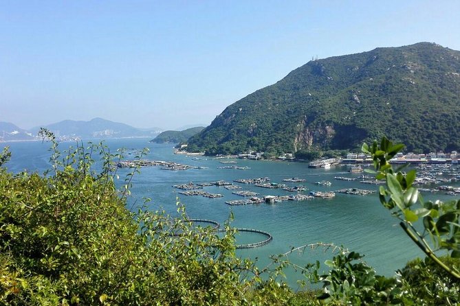 Private Hong Kong Lamma Island Day Tour - Accessibility and Health Notes