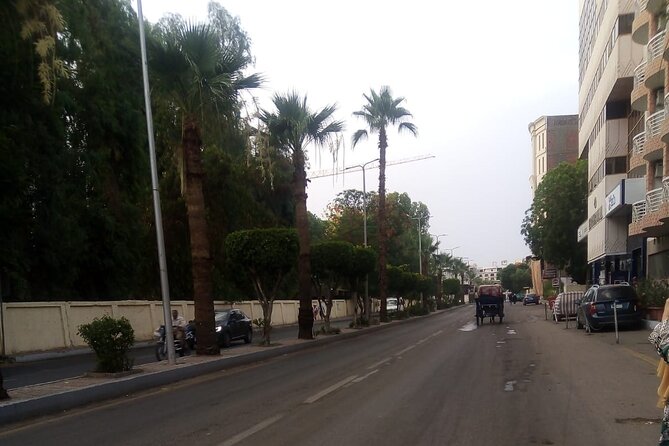 Private Horse Carriage Tour in Aswan City - Tour Highlights