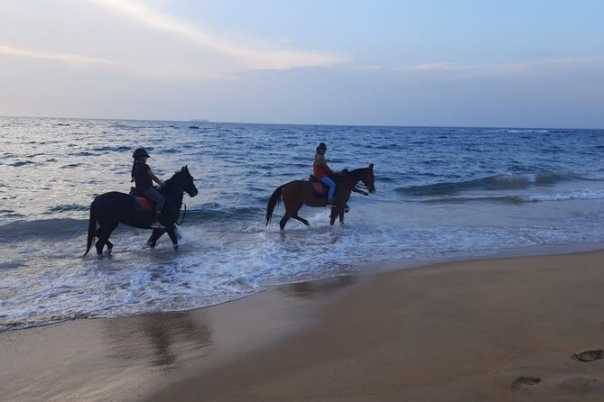 Private Horse Riding Activity in Port City - End Point Description