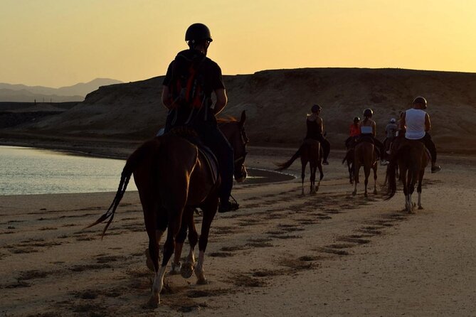 Private Horseback Riding in Marsa Alam and Port Ghalib - Experience