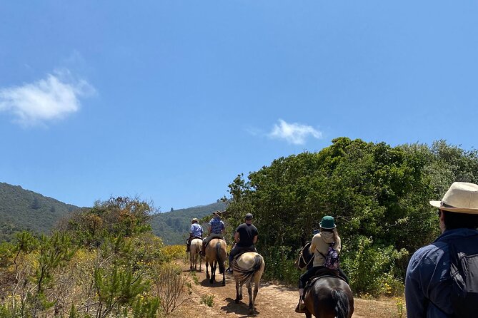Private Horseback Riding to Cerro El Mollar and Cachagua - Horseback Riding Experience