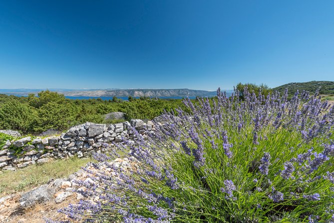Private Hvar Wine Tasting Tour With Traditional Dinner/Lunch - Operating Schedule
