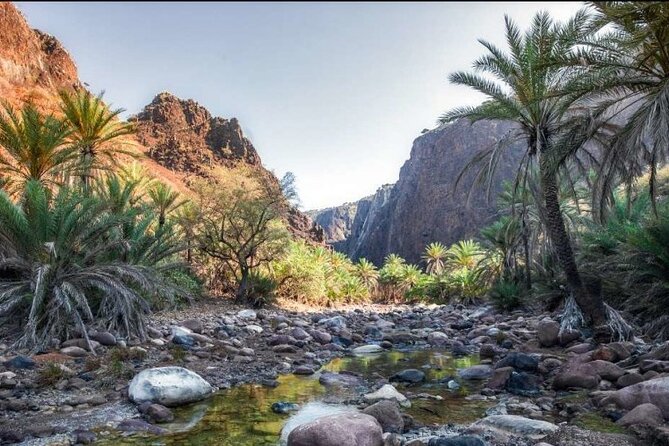 Private Jeep Safari To Wadi Qunai And Three Pools From Dahab - Cancellation Policy: Refund, Weather, Alternatives