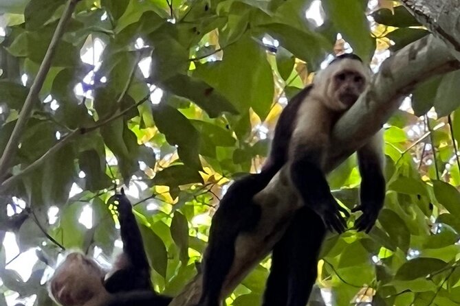 Private Jungle Hike to 2 Waterfalls With Lunch - Location Details