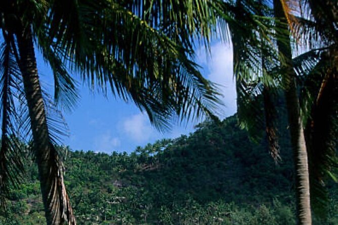 Private Jungle Hike to Bottle Beach and Boat Tour - Directions and Contact Information