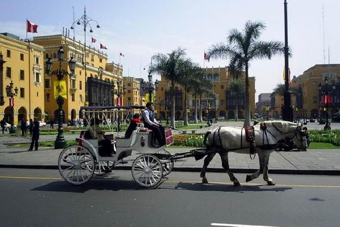 Private Lima City Tour With Larco Museum - Larco Museum Visit