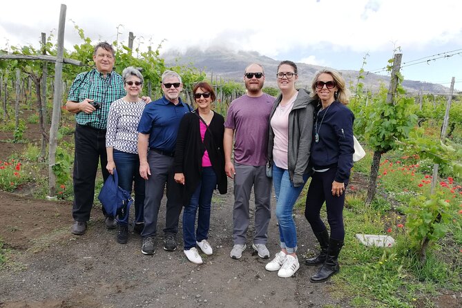 Private Luxury Transfer From Rome to Sorrento or Amalfi Coast - The Sum Up