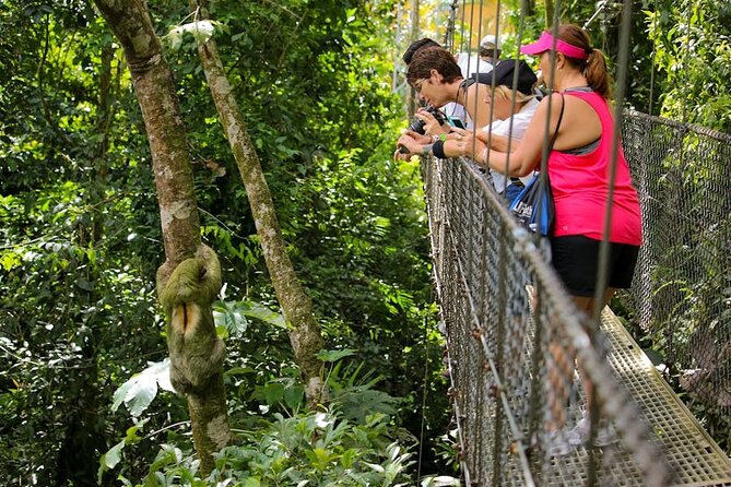 Private Majestic Arenal Volcano From Guanacaste - Enhance Your Experience With Wildlife Spotting