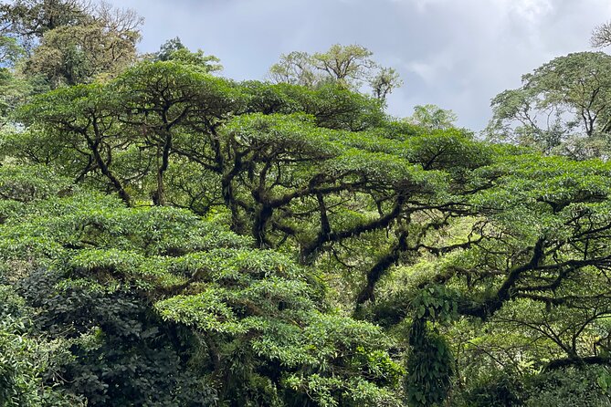 Private Manuel Antonio National Park - The Sum Up