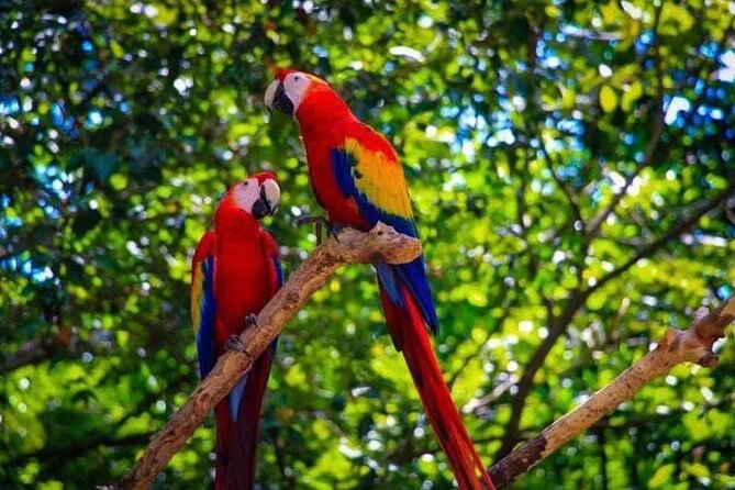 Private Monkey and Sloth Park With Atv and West Bay Beach - Booking Information