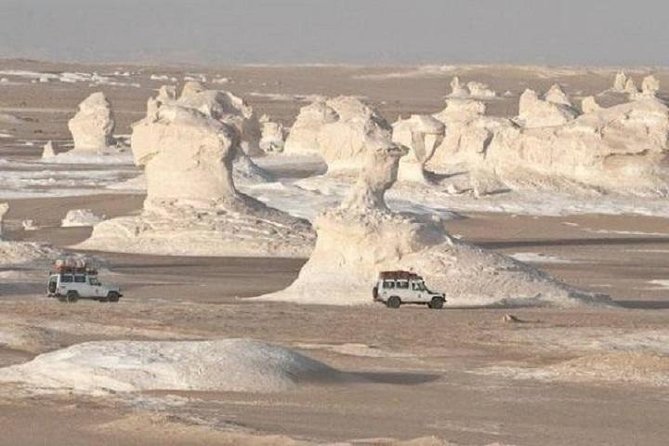 Private Overnight Trip Camping in White and Black Desert From Cairo - Cancellation Policy