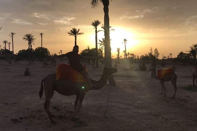 Private Palm Grove Camel Ride With A Tea Break. - Activity Overview