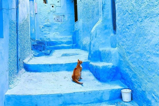 Private Photo Shoot in Chefchaouen With Professional Photographer - Tips for a Great Session