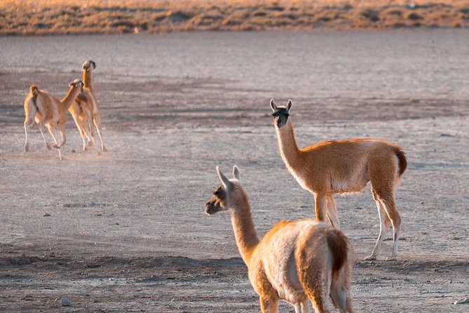 Private Photography Tours - Tour Highlights