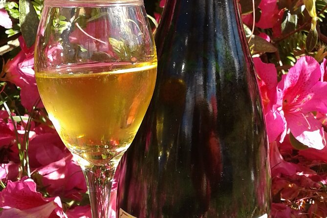 Private Picnic at the Vineyard Gardens in Gramado - Alcoholic Beverages Provided