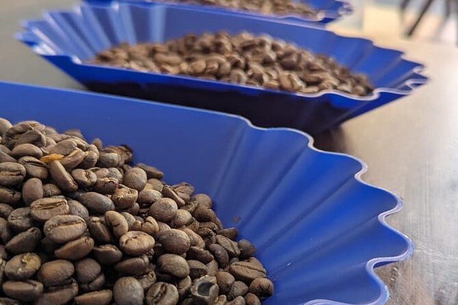 Private Roasting and Cupping Coffee Experience - Directions to La Galería Slow Food