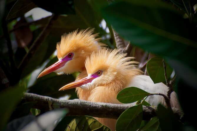 Private Romantic Tour in Ubud With Guide - Booking Confirmation