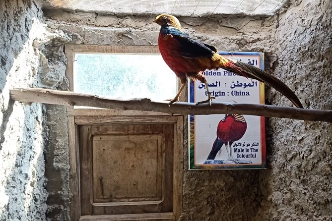 Private Safari Tour To Africano Park Alexandria From Cairo - Additional Information