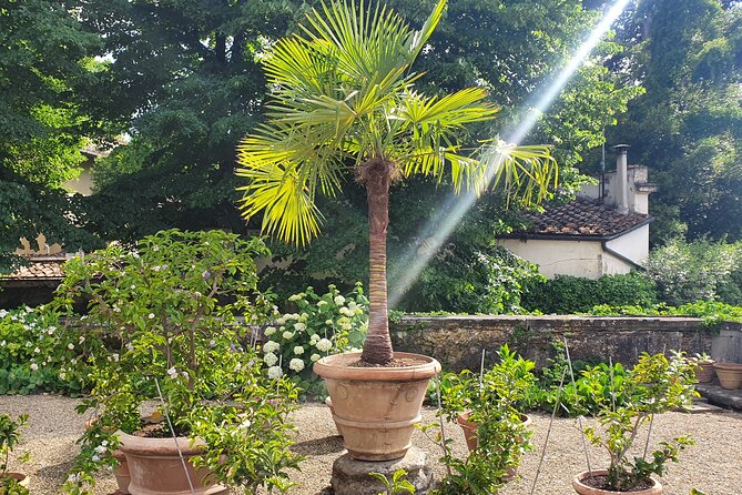 Private Session Learning Italian in the Boboli Gardens - Additional Details