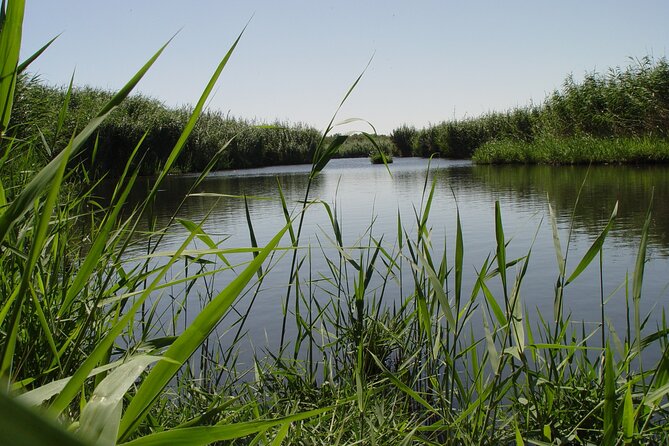 Private Shaumari Wildlife Experience and Overnight at Azraq Wetland Reserve. - Contact Information and Inquiries