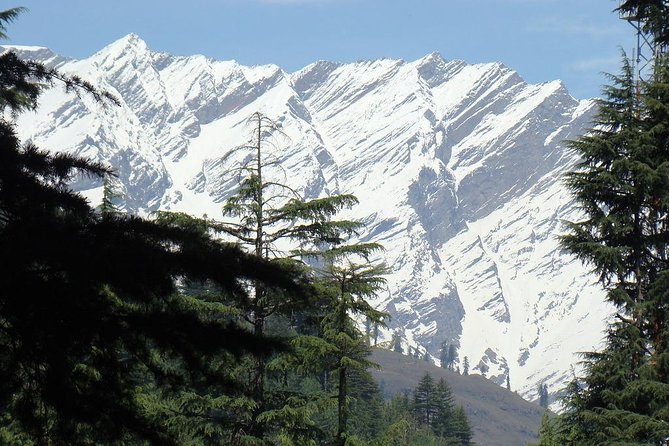 Private Shimla Kullu Manali 7 Day Tour Package From Chandigarh - Additional Information for Travelers