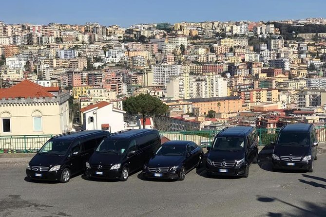 Private Shore Excursions Pompeii and Amalfi Coast From Naples - Important Details to Note