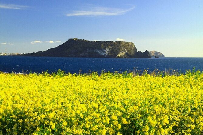 Private Sightseeing Tour of Famous Attractions in Jeju Island - Frequently Asked Questions