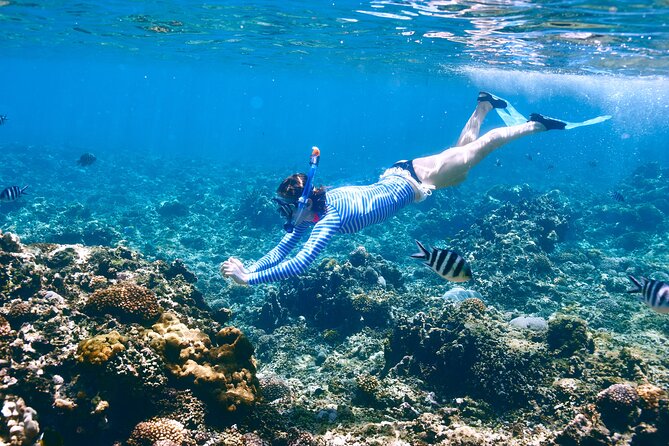 Private Speedboat and Snorkeling Trip to Eden Island – Hurghada