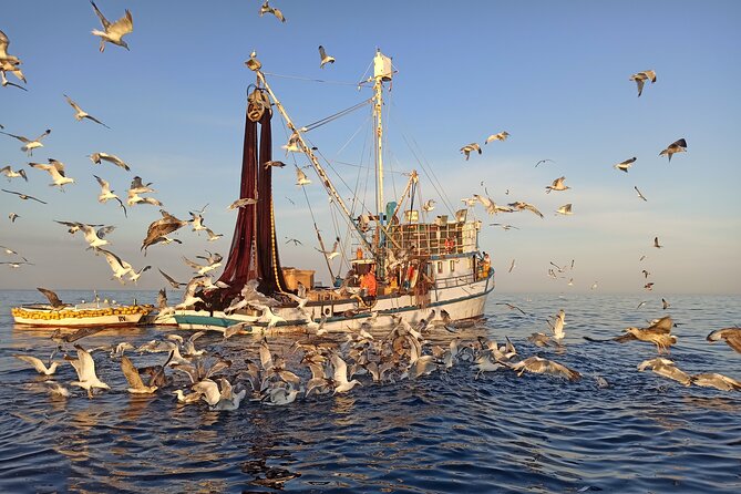 Private Sunrise Dolphin Watching With Drinks in Rovinj - Additional Information