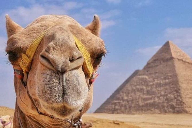 Private Tour Around the Pyramids on a Quad Bike - Not Recommended for