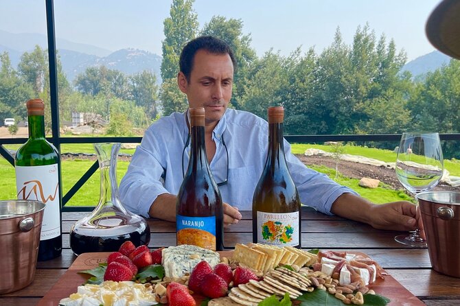 Private Tour at Maturana Wines and VIK Winery With Lunch Pairing - Frequently Asked Questions
