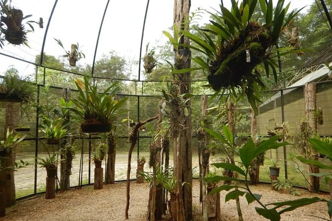 Private Tour at Musa (Botanical Garden, Amazon Museum) - Location