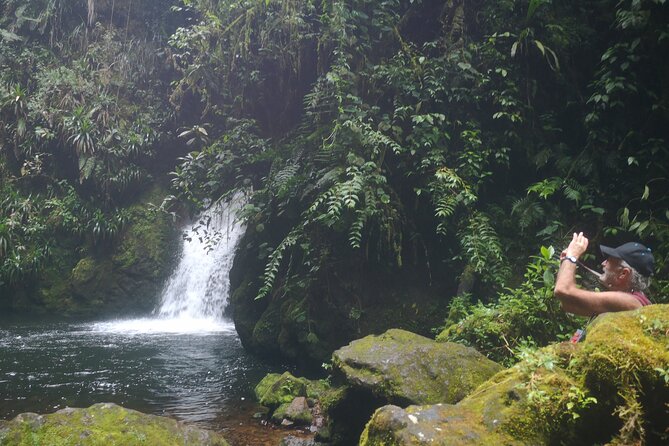 Private Tour Cueva De Los Guacharos in Antioquia With Lunch - Inclusions