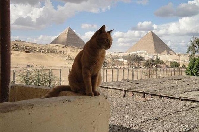 Private Tour From Cairo 7 Days 7 Ways in Egypt - Operator Details