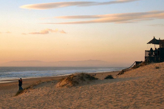 Private Tour From Lisbon to Historical Houses W/ Lunch & Wine Tour and Tasting - Wine Tour Overview