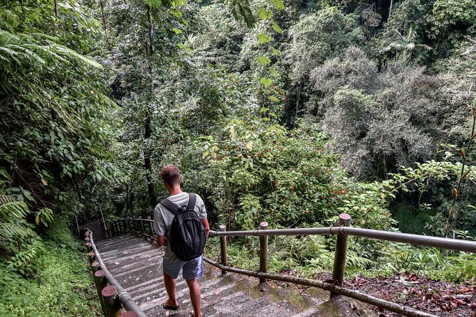 Private Tour Funtastic Nungnung Waterfall And Beratan Temple - The Sum Up