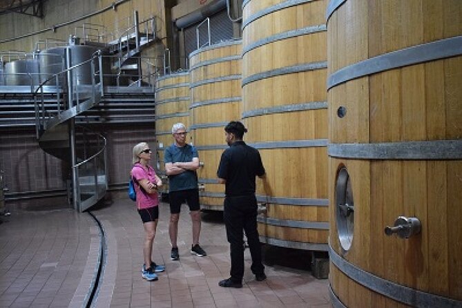 Private Tour in the Andes Mountains Pedal and Taste Wines - Transportation and Pickup