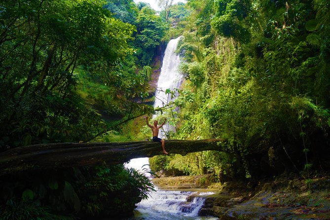 Private Tour - Juan Curí Waterfalls (Nature) - Tour Inclusions