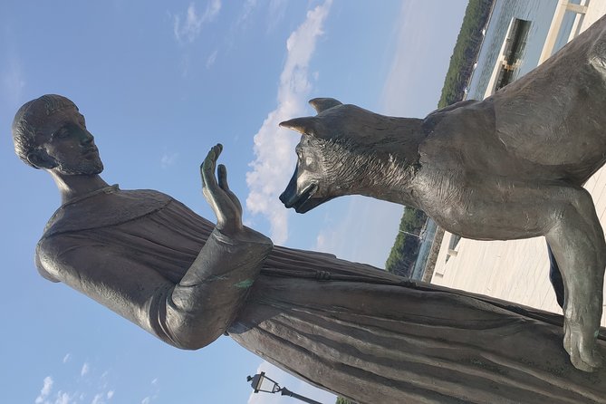 Private Tour: KRK ISLAND: History and Wine Tour - From Opatija - What To Expect
