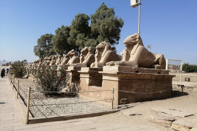 Private Tour: Luxor East Bank, Karnak and Luxor Temples - Tour Operator Information