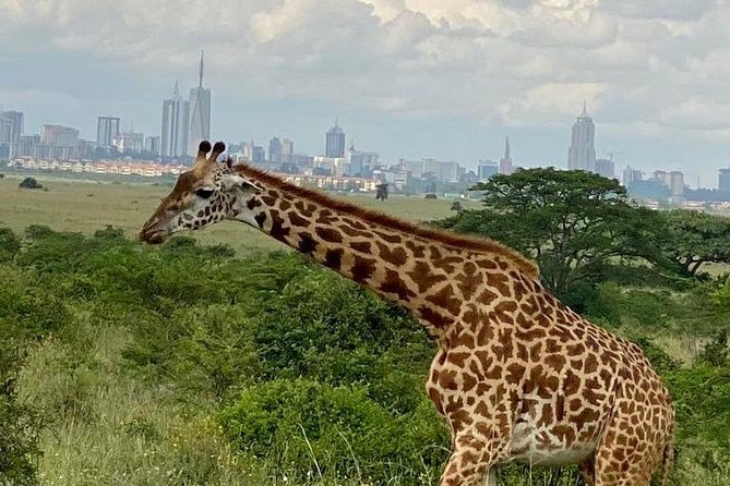 Private Tour Nairobi National Park & Giraffe Centre - Additional Information