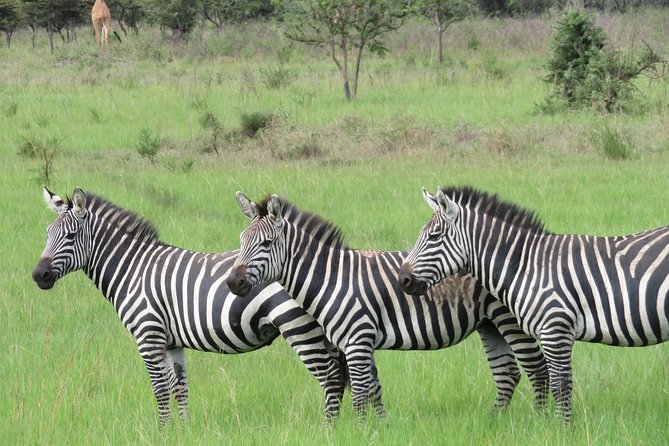 Private Tour of Rwanda (5 Days) - Accessibility Information