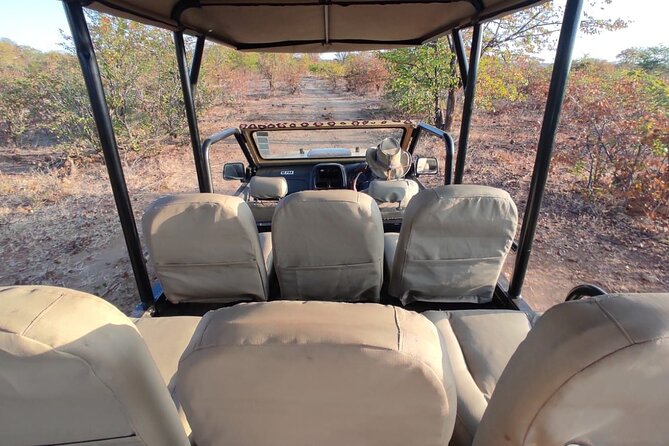 Private Tour of Victoria Falls Town in Open 4x4 Safari Jeep - Pricing and Group Size