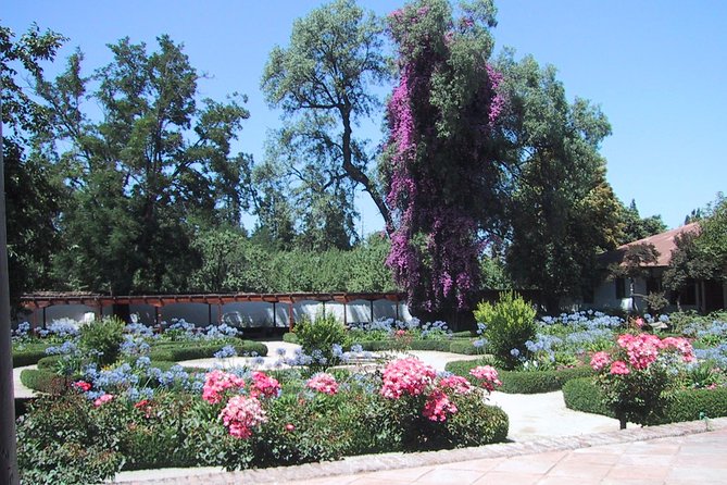 Private Tour: Santa Rita Vineyard With Wine Tastings - Booking Information